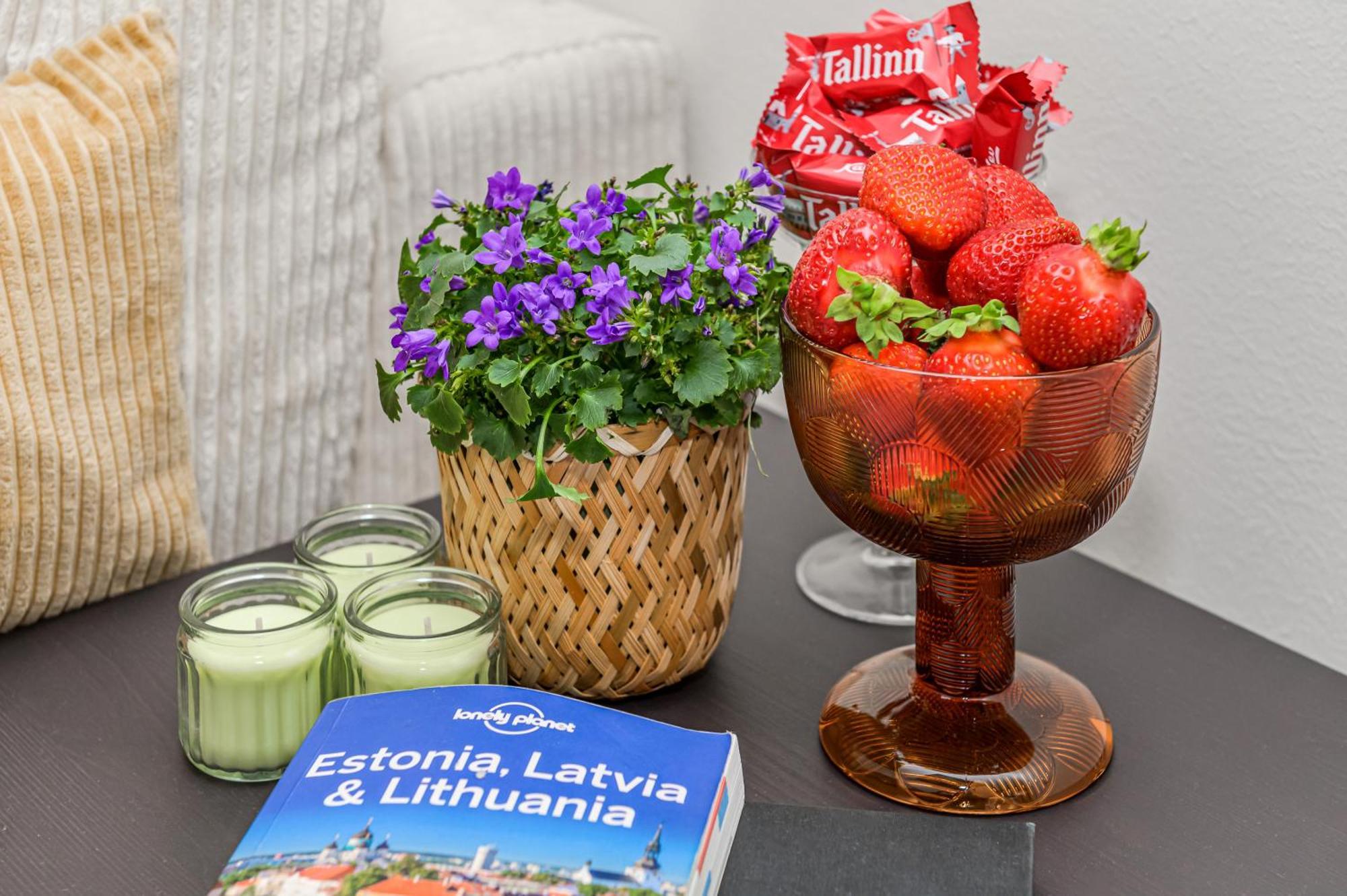 Tallinn Old Town Romantic Apartment Extérieur photo